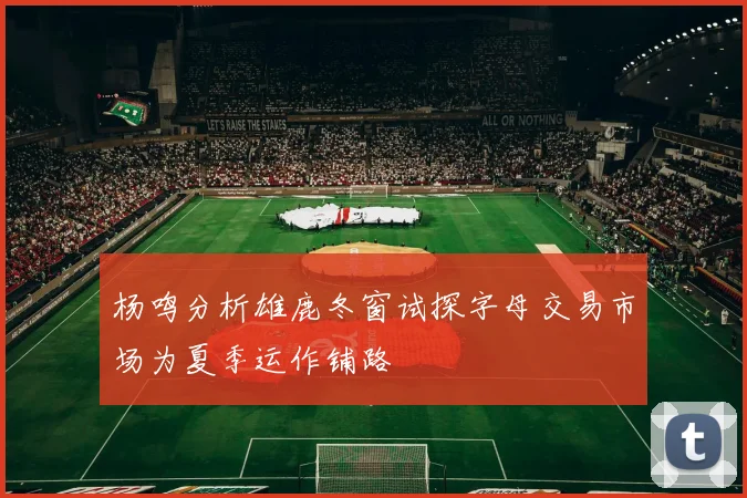 杨鸣分析雄鹿冬窗试探字母交易市场为夏季运作铺路