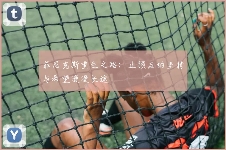 菲尼克斯重生之路：止损后的坚持与希望漫漫长途